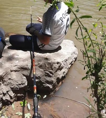 Golemi Kamik * 皮罗特