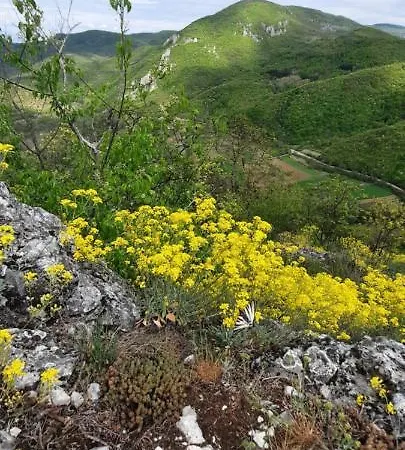 Golemi Kamik 农家乐 皮罗特