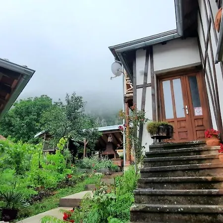 农家乐 Golemi Kamik *