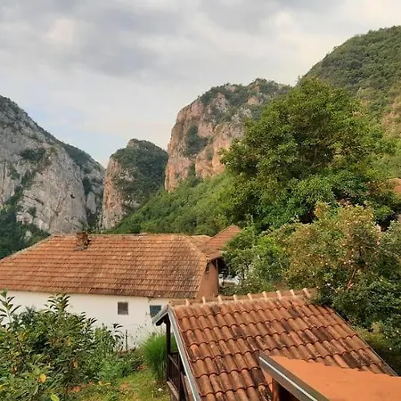 Фермерский дом Golemi Kamik Пирот