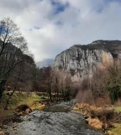 农家乐 Golemi Kamik *