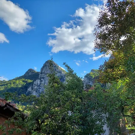 Фермерский дом Golemi Kamik *