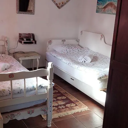 Фермерский дом Golemi Kamik Пирот