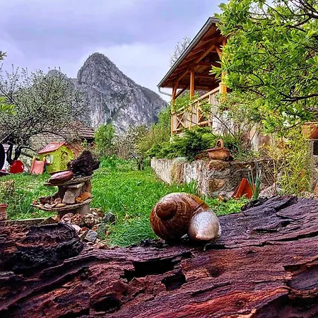 Golemi Kamik Farm stay Pirot