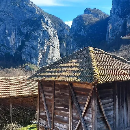 Farm stay Golemi Kamik Pirot