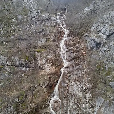Golemi Kamik Farma