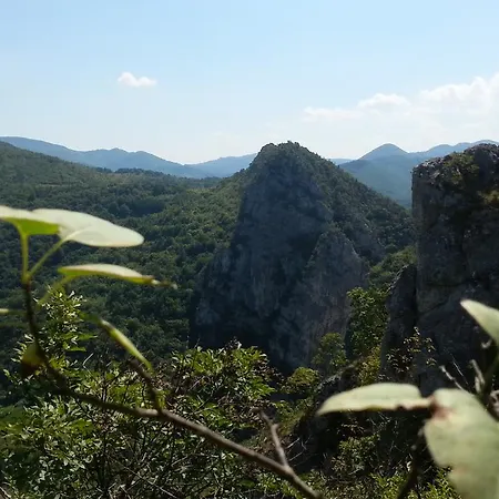 Farma Golemi Kamik Pirot