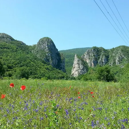 Golemi Kamik Фермерский дом Пирот