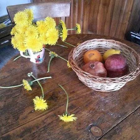 Golemi Kamik 农家乐 *