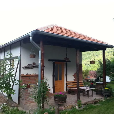 Golemi Kamik 皮罗特