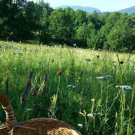 农家乐 Golemi Kamik