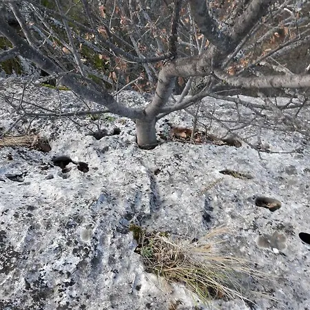 Golemi Kamik Пирот